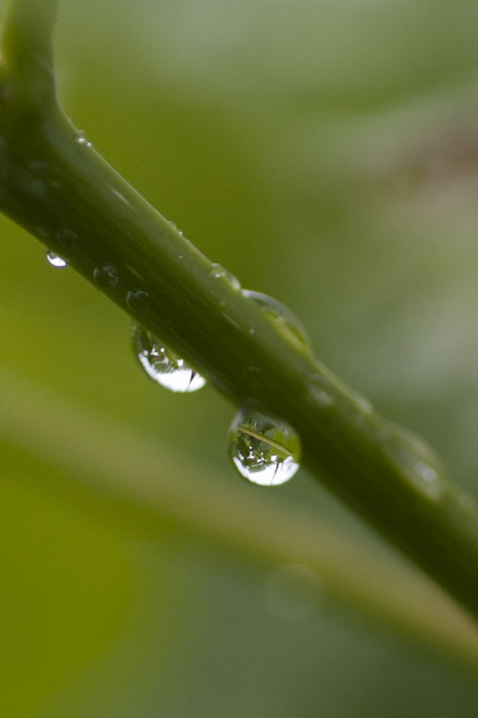 水滴