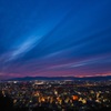 金華山からの夜景