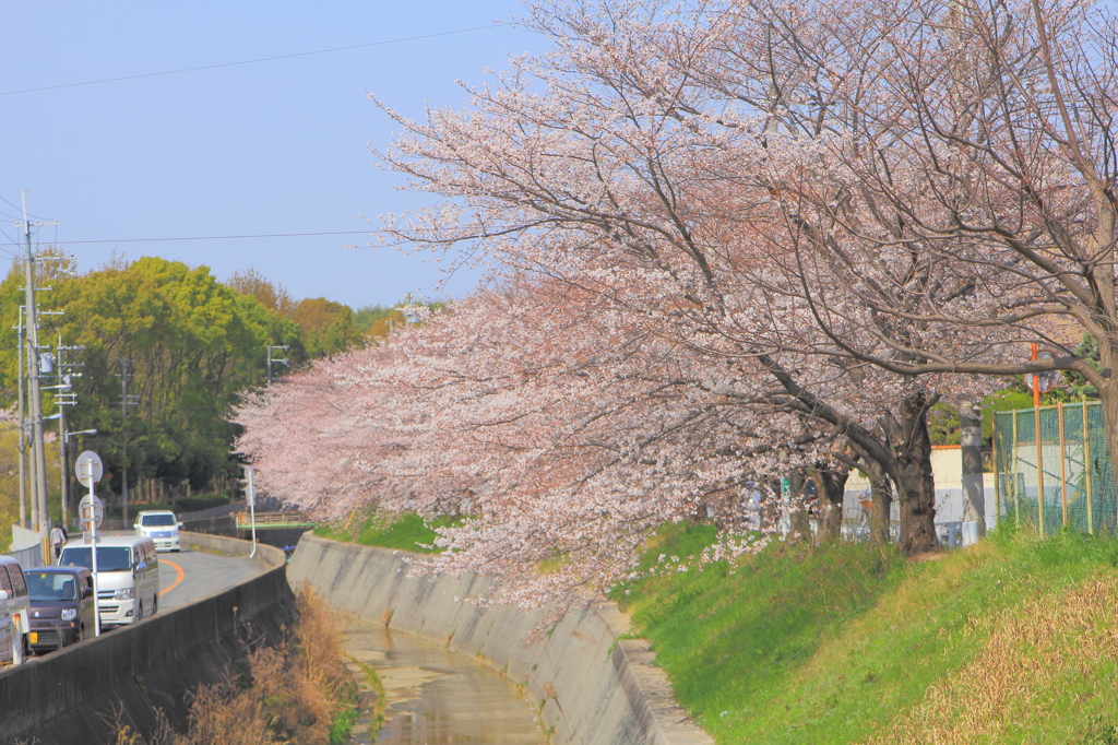 春の予感