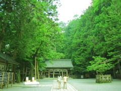 諏訪大社へ