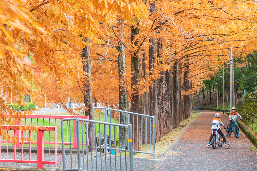 自転車練習