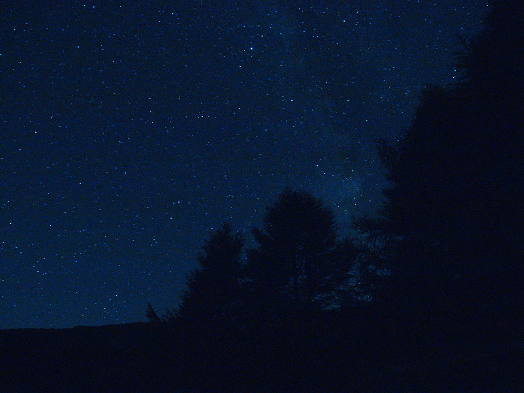 夏の夜空やで