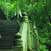 まだまだ