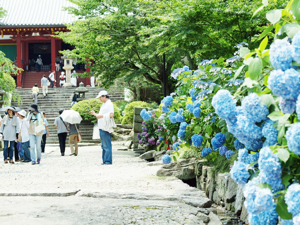 矢田寺の参道