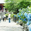 矢田寺の参道