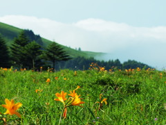 ラッパ