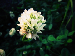 RIMG0018