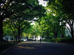 帰り道。