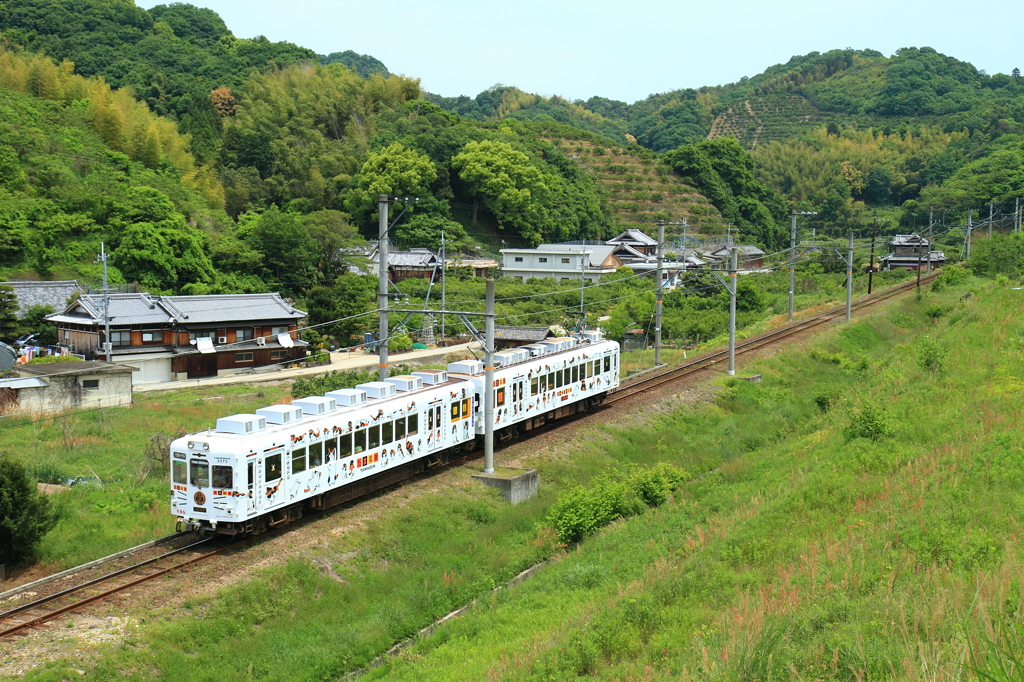 新緑を駆ける