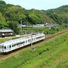 新緑を駆ける