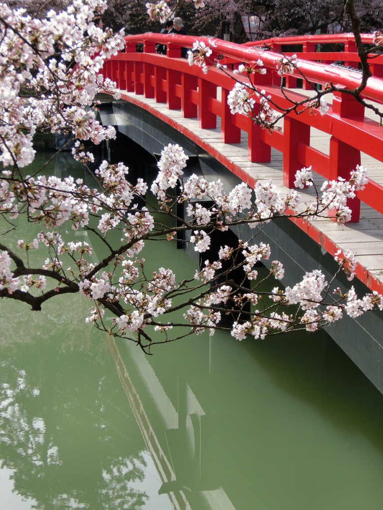 春陽橋