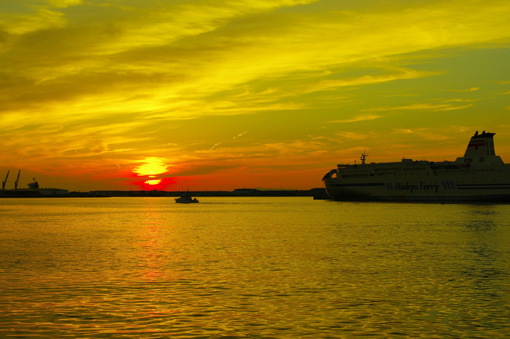 ＣＴＥ　　ｐｏｐ