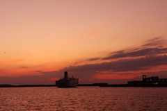 ＣＴＥ　　１７３１