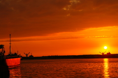 １００ｍａｃｒｏ　　１６５１