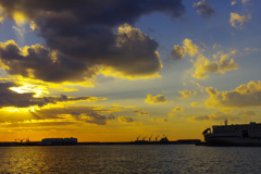 ＣＴＥ　　１６３６