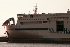 ｇｉｎｎｏｋｏｓｉ