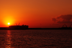 ＣＴＥ　　１６５６