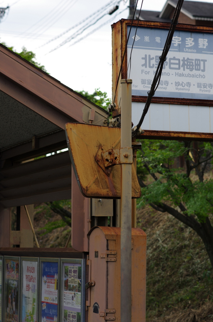 IMGP3872