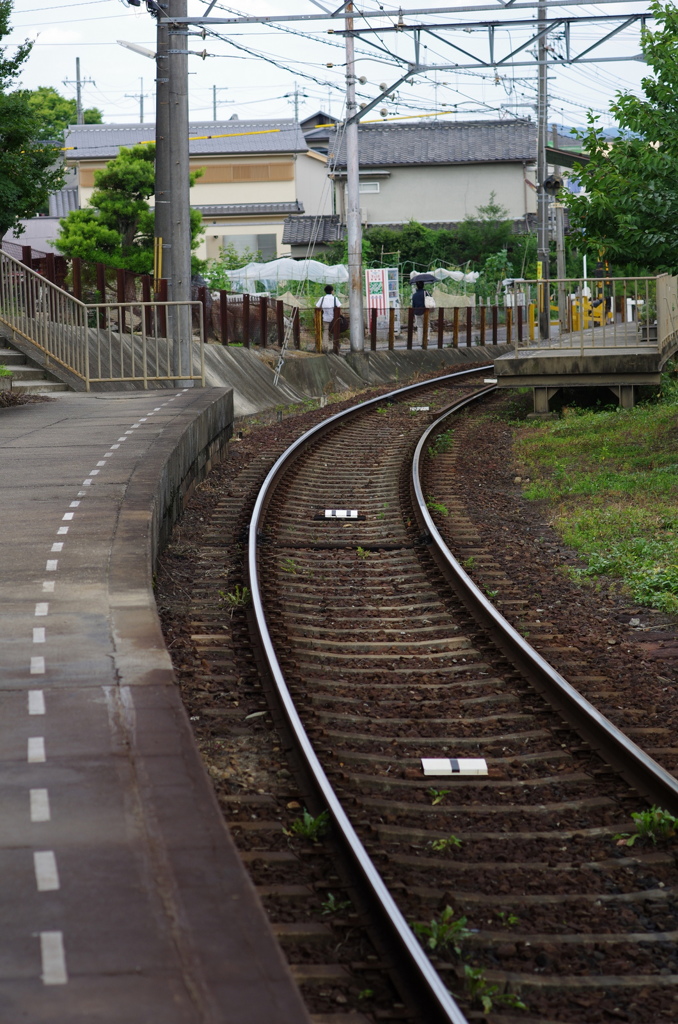 IMGP3816