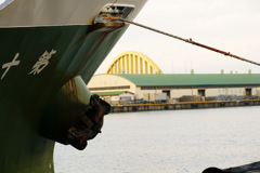 １００ｍａｃｒｏ　１６０７