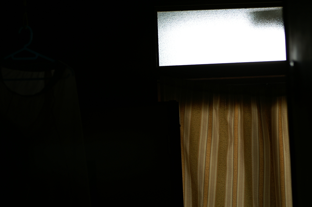 PICT7853