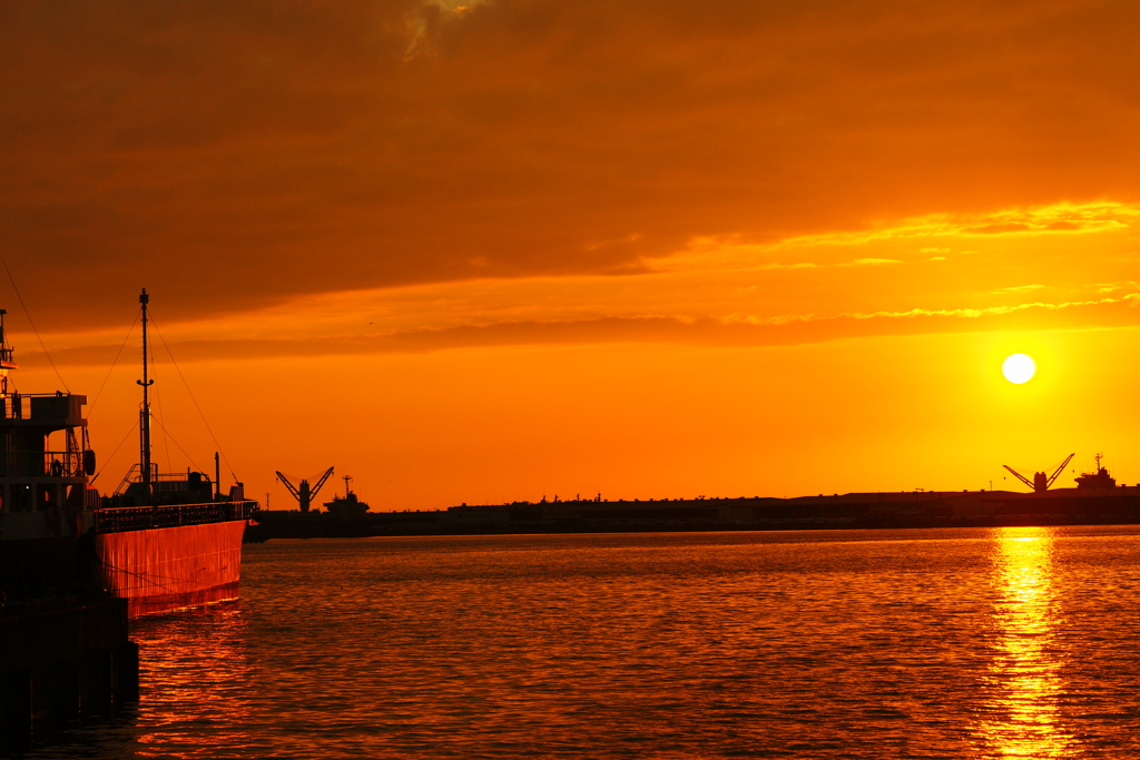 １００ｍａｃｒｏ　　１６４５