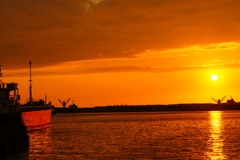 １００ｍａｃｒｏ　　１６４５