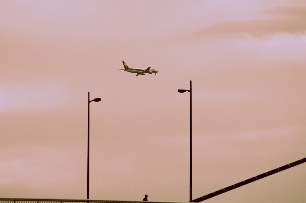 豊里大橋　上空