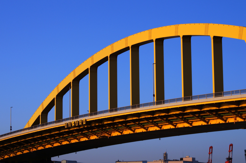 ＣＴＥ　　ａｚａｙａｋａ