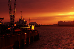 ＣＴＥ　　１６４７