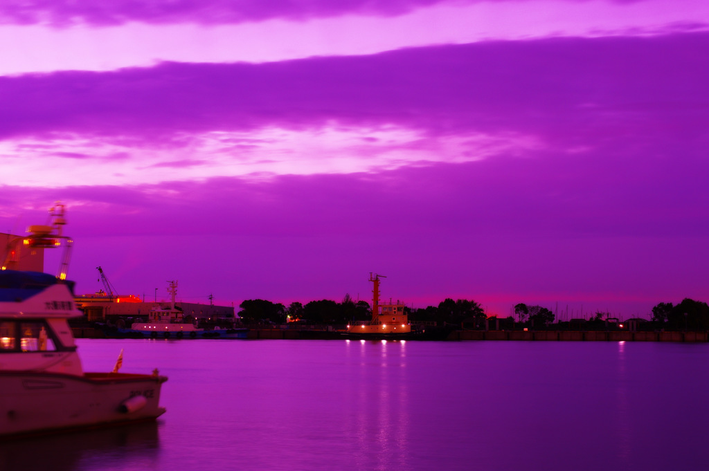 ＣＴＥ　ｐｏｐ