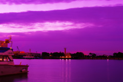 ＣＴＥ　ｐｏｐ