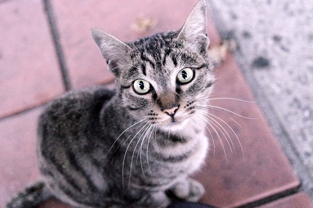 ｉｓｏ　　１２８００