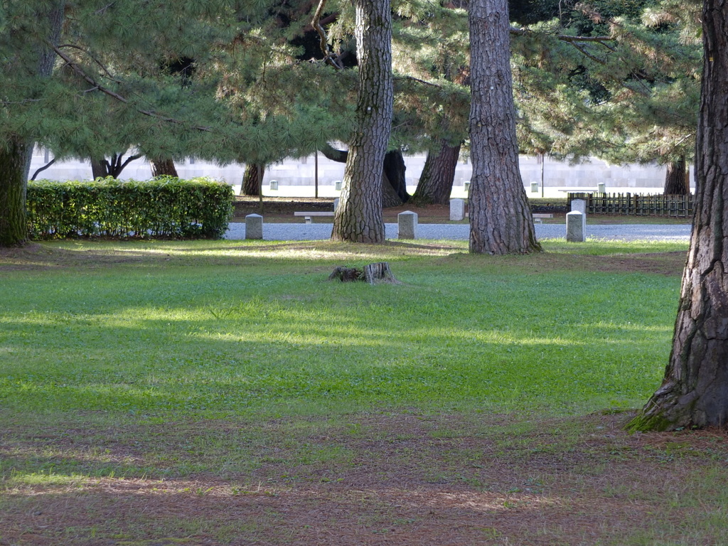 useing xs1
