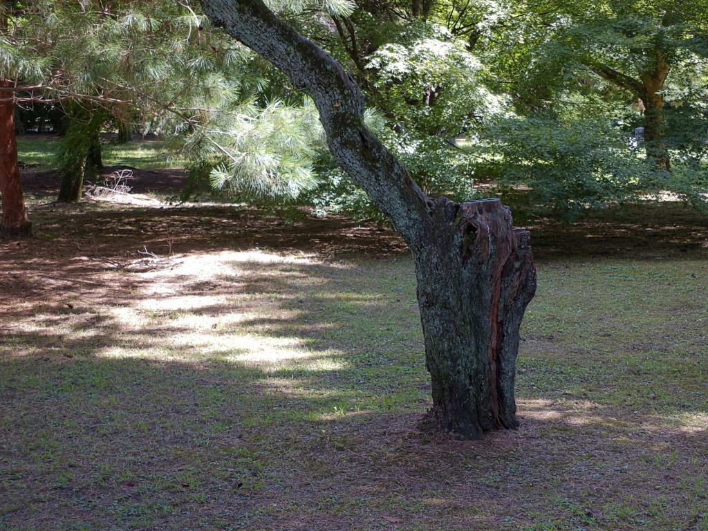 useing xs1