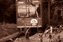 DSC02305