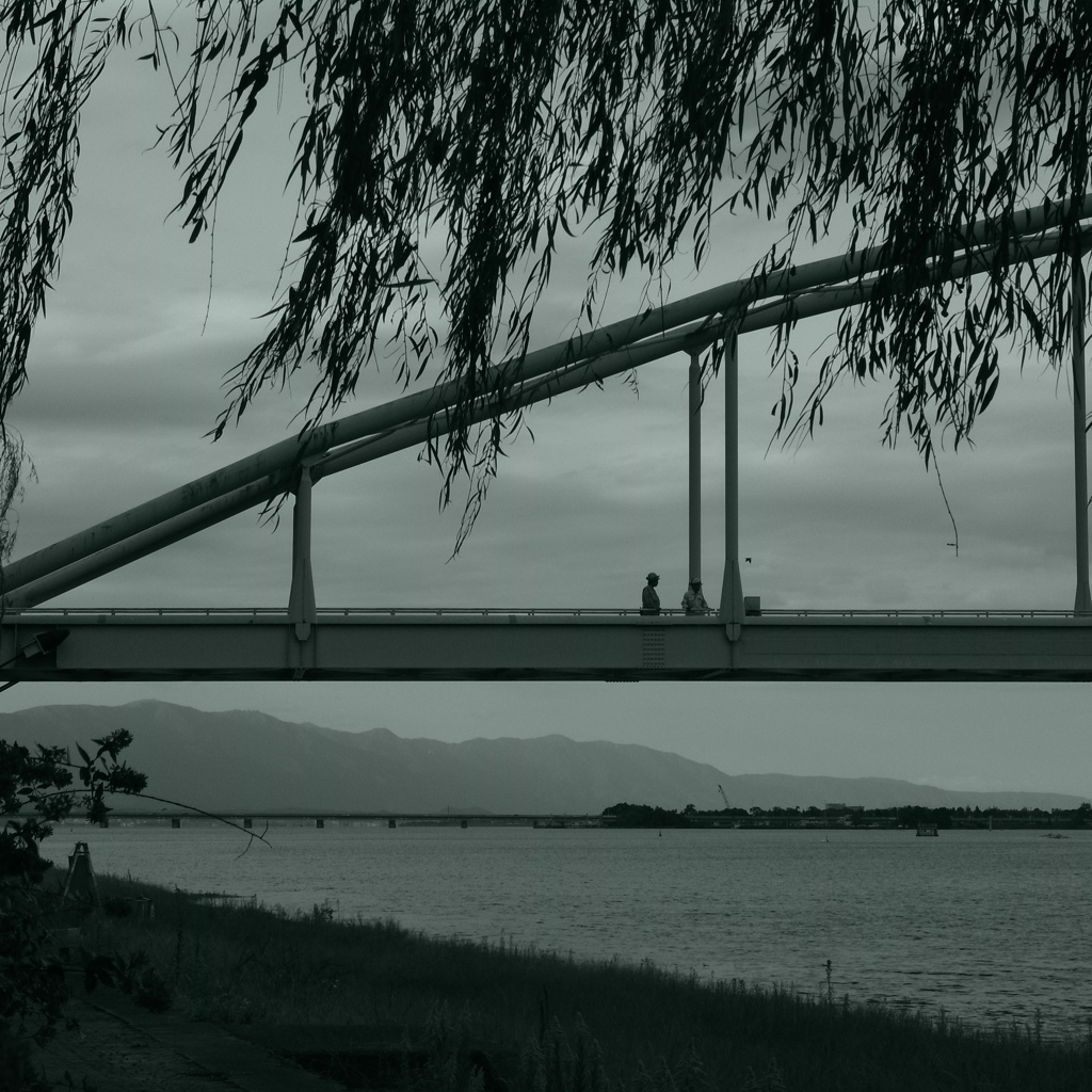R0016551