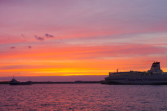 ＣＴＥ　　１７３９