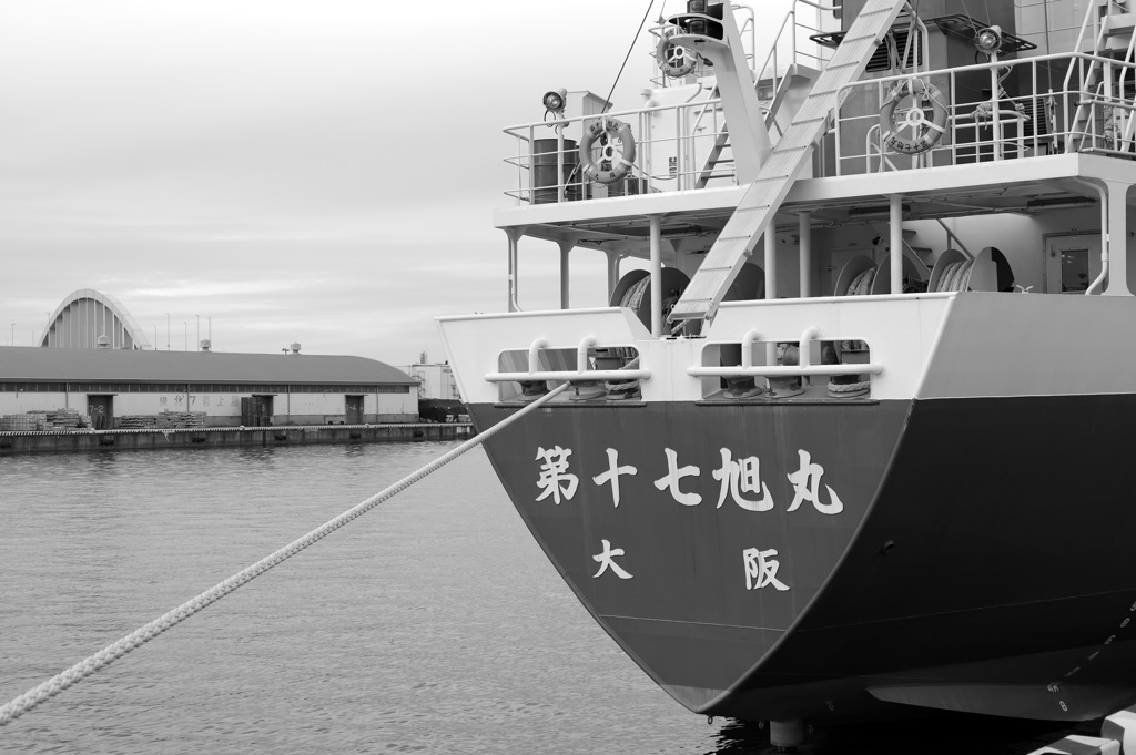 ＢＷ　　１５５０