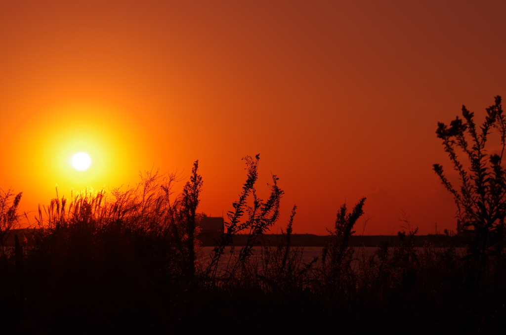 ＣＴＥ　　１６４８