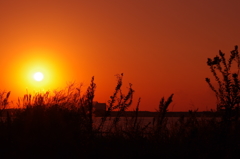 ＣＴＥ　　１６４８