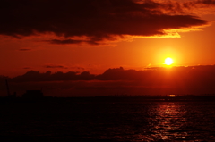 ＣＴＥ　　１６２９