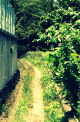 PICT0702