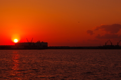 ＣＴＥ　　１６５７