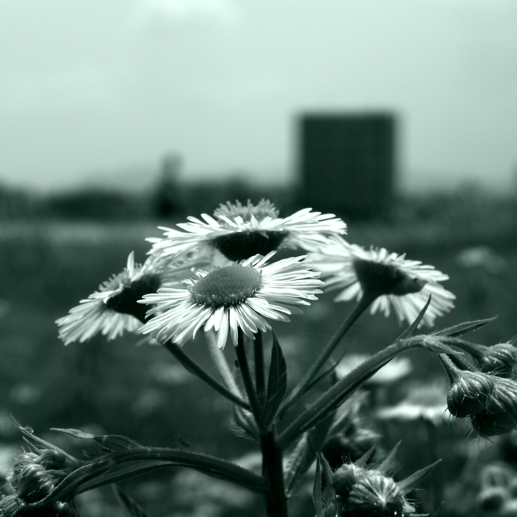 R0013900