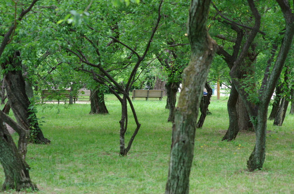 IMGP3888