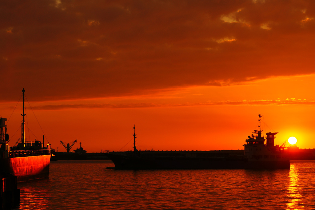 １００ｍａｃｒｏ　　１６５４