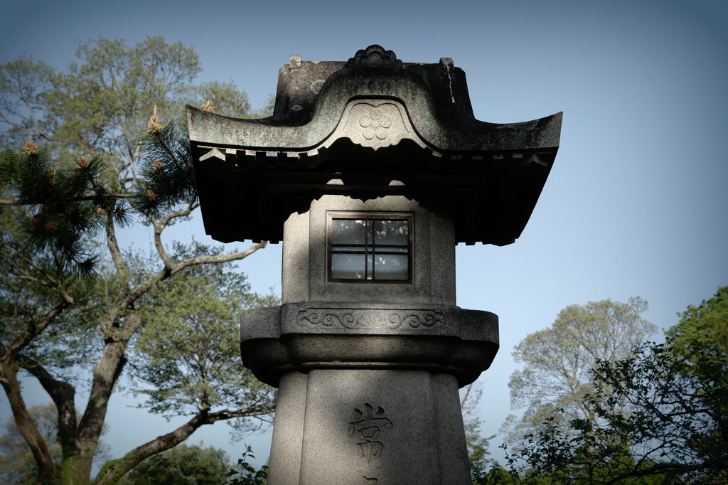 DSC00185-001
