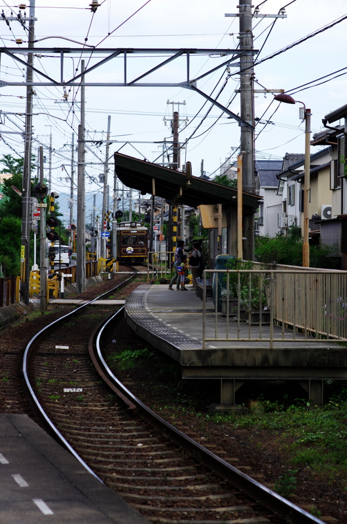 IMGP3860