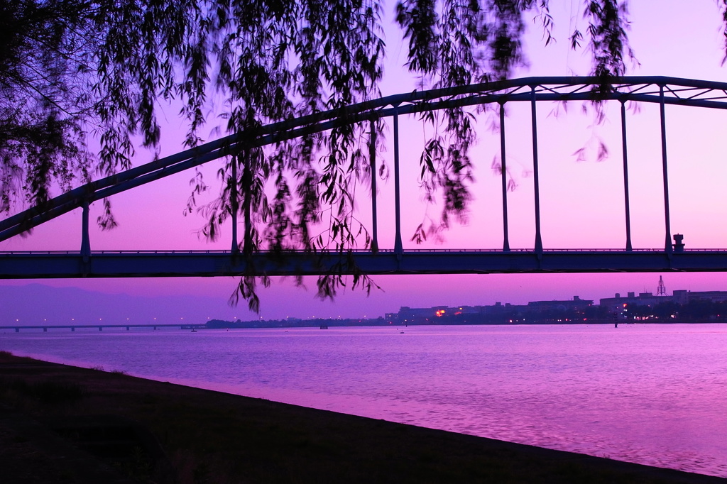 R0012461